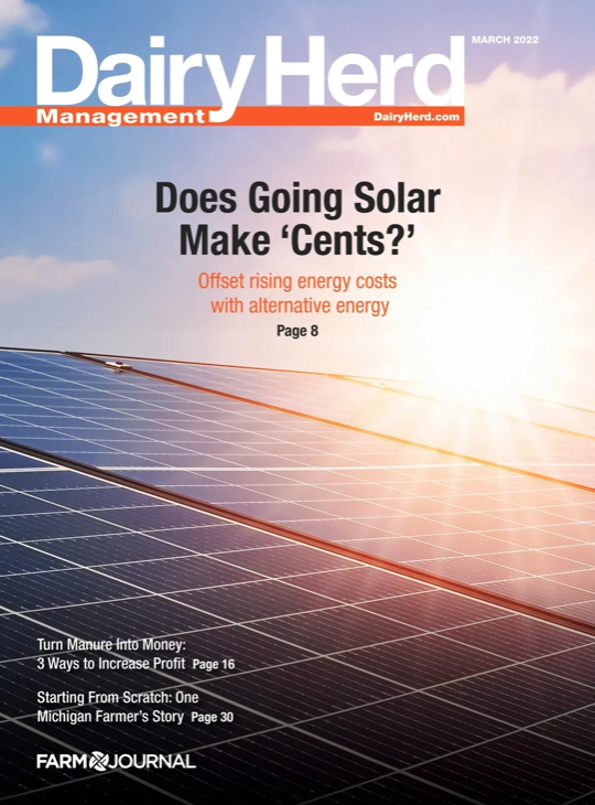 Issue Archive Dairy Herd